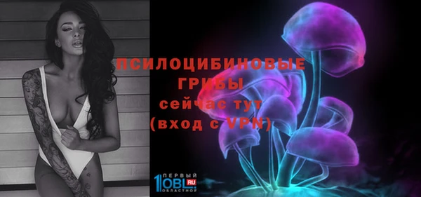 гидра Балахна