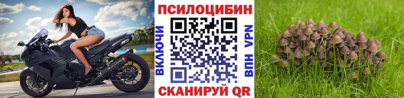Галлюциногенные грибы MAGIC MUSHROOMS  продажа наркотиков  Слюдянка 